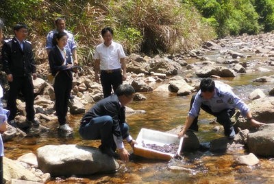 证据保全，助力大鲵在资溪 “安家”