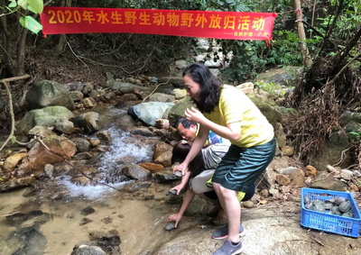 中南公证处为野生动物放归活动提供公证服务