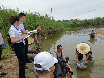 公证助力增殖放流，促进生态可持续发展