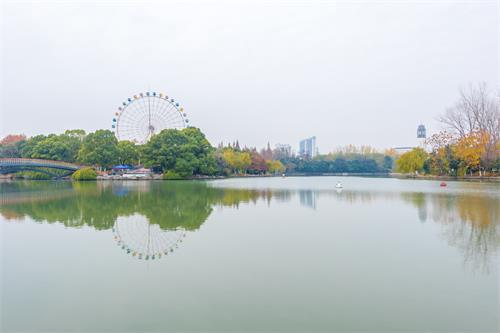 合肥地区的公证处可以本人不到场办理吗？
